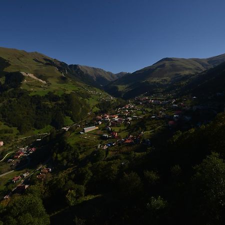 Hamsikoey Seyirtepe Butik Otel Hamsikoy Экстерьер фото